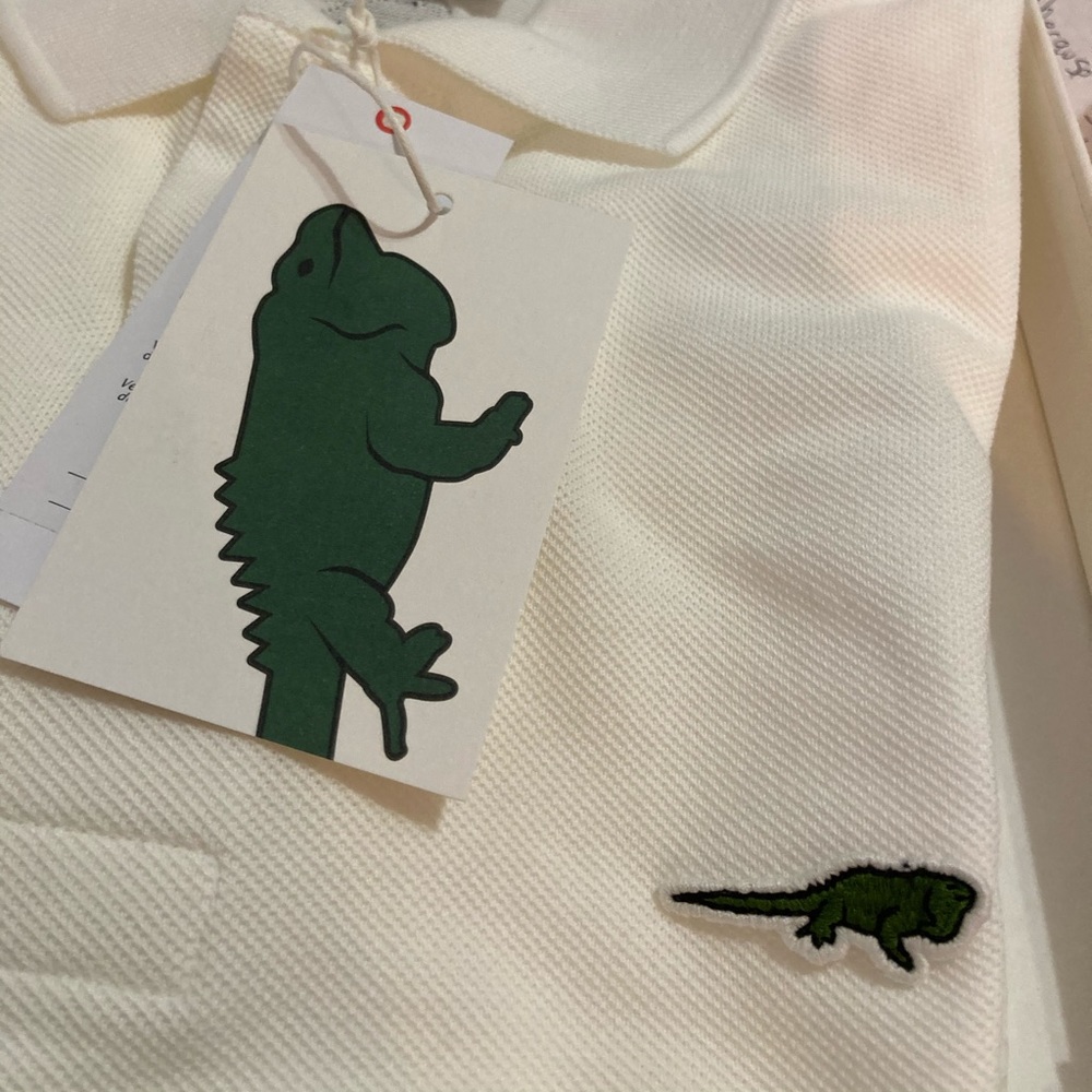 Rare lacoste Iguana save our species